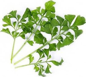 Veritable wkład nasienny Lingot - rukiew wodna