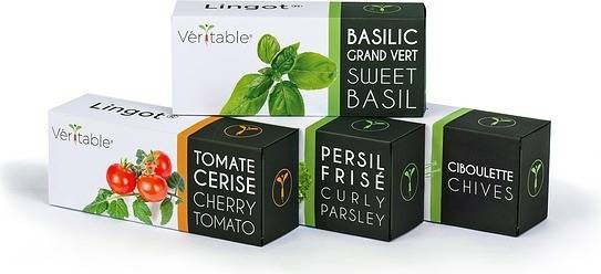 Veritable wkład nasienny Lingot - bazylia karłowa