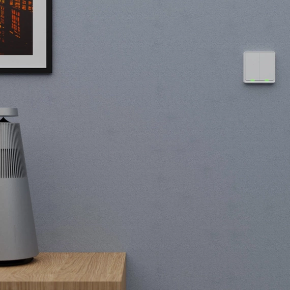 TESLA Smart Switch Dual Battery