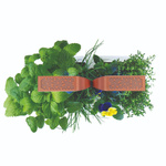 Véritable Smart White Copper