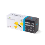 Wkład nasienny Lingot - ogórek kwiatowy