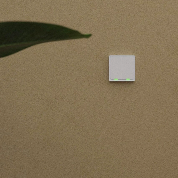 TESLA Smart Switch Dual Battery