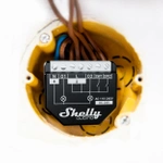 Shelly Qubino Wave 2PM