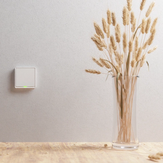 TESLA Smart Switch ZigBee