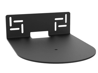 Cavus Wall Mount Amp (CMH)