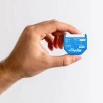 Shelly Qubino Wave 1