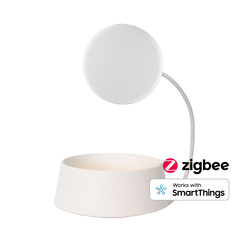 frient Water Leak Detector Probe - sonda