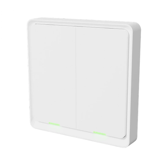 TESLA Smart Switch Dual Battery